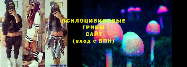 дживик Ростов