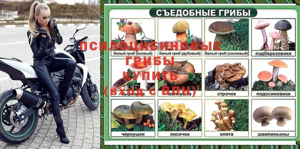 apvp Рославль