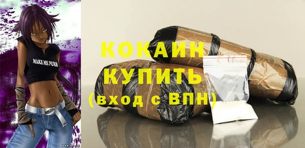 apvp Рославль