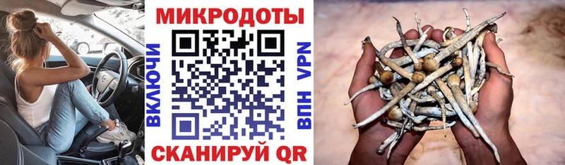 кракен tor  наркота  Собинка  Галлюциногенные грибы мухоморы 